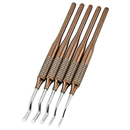 Premier Elite 5-Piece Dogleg Chisel Set＿並行輸入品