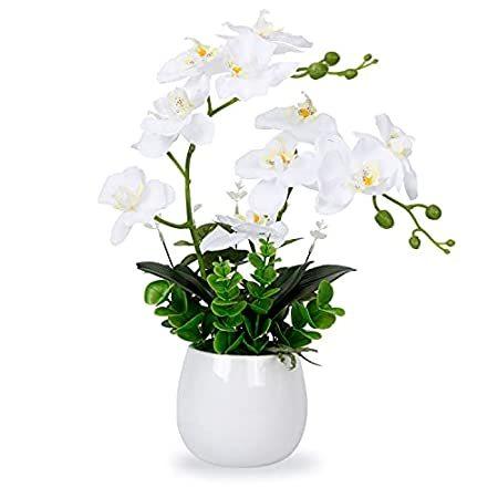 LIVILAN 造花 オーキッド フェイクオーキッド ホワイト 胡蝶蘭 ホワイトセラミック花瓶付き＿並行輸入品