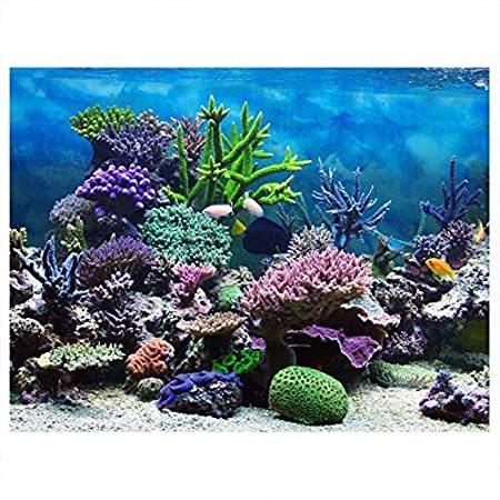 Zerodis PVC Adhesive Aquarium Fish Tank Background Poster,Landscape Wallpap＿並行輸入品