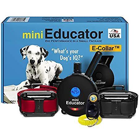 Educator Et 302 Et 302 Bk モリコー店のeducator 1 2 Mile Rechargeable Dog しつけ