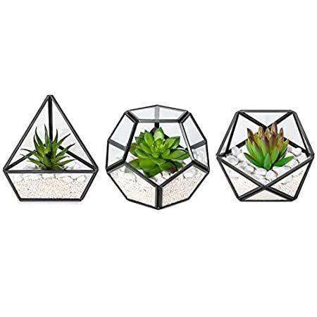 Mkono 人工多肉植物 ミニガラス 幾何学テラリウム ミニチュア鉢植え 造花 本棚 デスク ボーホー オフィスルーム 装飾 レディース ガールズ 寮＿並行輸入品