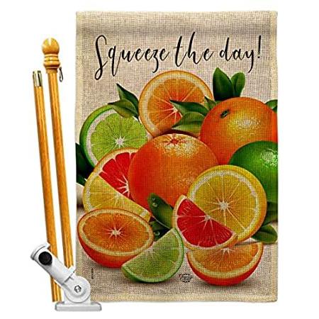 Ornament Collection Sqeeze The Day Burlap House Flag Set Food Fruits Pineap＿並行輸入品