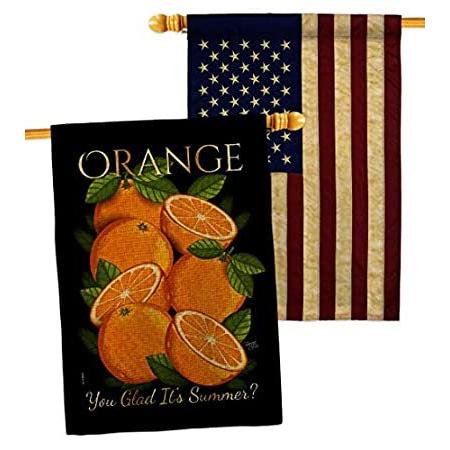 Breeze Decor Sweet Orange Burlap House Flag Pack Food Fruits Pineapple Stra＿並行輸入品
