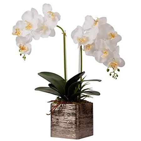 Homeseasons LED プリライト 人工オーキッドプラント (ホワイト)＿並行輸入品