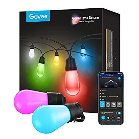 Govee Smart Outdoor String Lights， RGBIC Warm White 48ft LED Bulbs， WiFi Pa＿並行輸入品