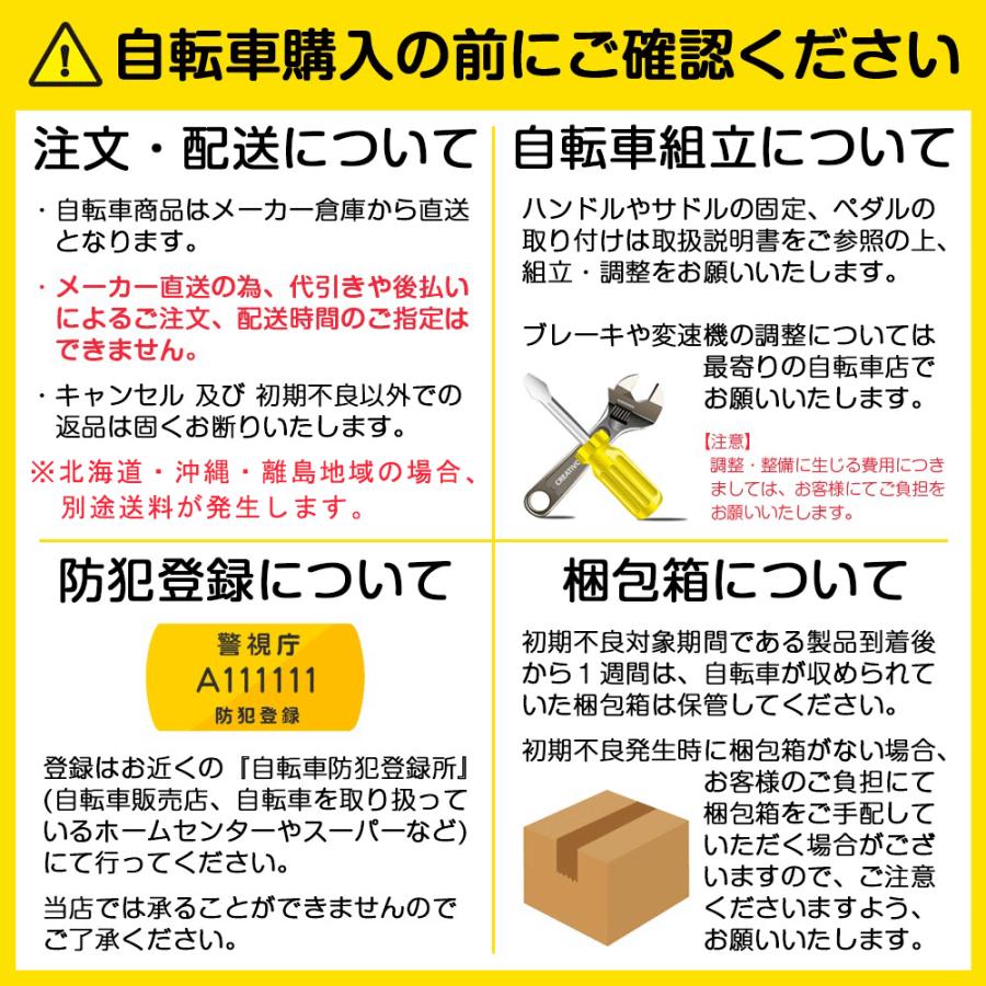 折りたたみ電動アシスト自転車 パンクしない 20インチ ノーパンク 公道走行 安い バッテリー アシスト 折り畳み おすすめ アクティブプラス ミムゴ 正規代理店｜morico-store｜15