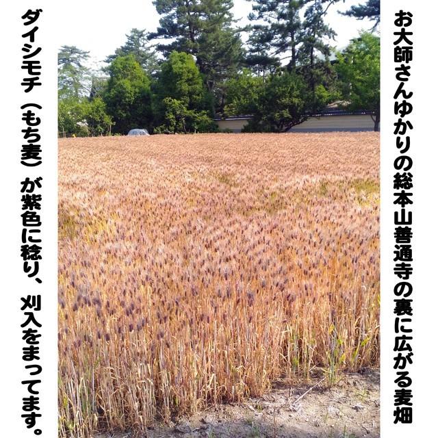 １升分のダイシモチのポン加工品：完全な無添加もち麦100％　（原料段階で1.4ｋｇ） |  | 01