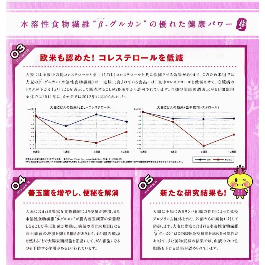 １升分のダイシモチのポン加工品：完全な無添加もち麦100％　（原料段階で1.4ｋｇ） |  | 05