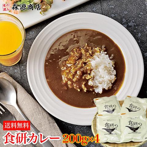 ポイント15倍 食研カレー 200g×4袋 メール便送料無料 中辛 常温便 業務用 レトルトカレー 日本食研 代引不可 着日指定不可 新生活応援 ギフト クーポン｜morigen