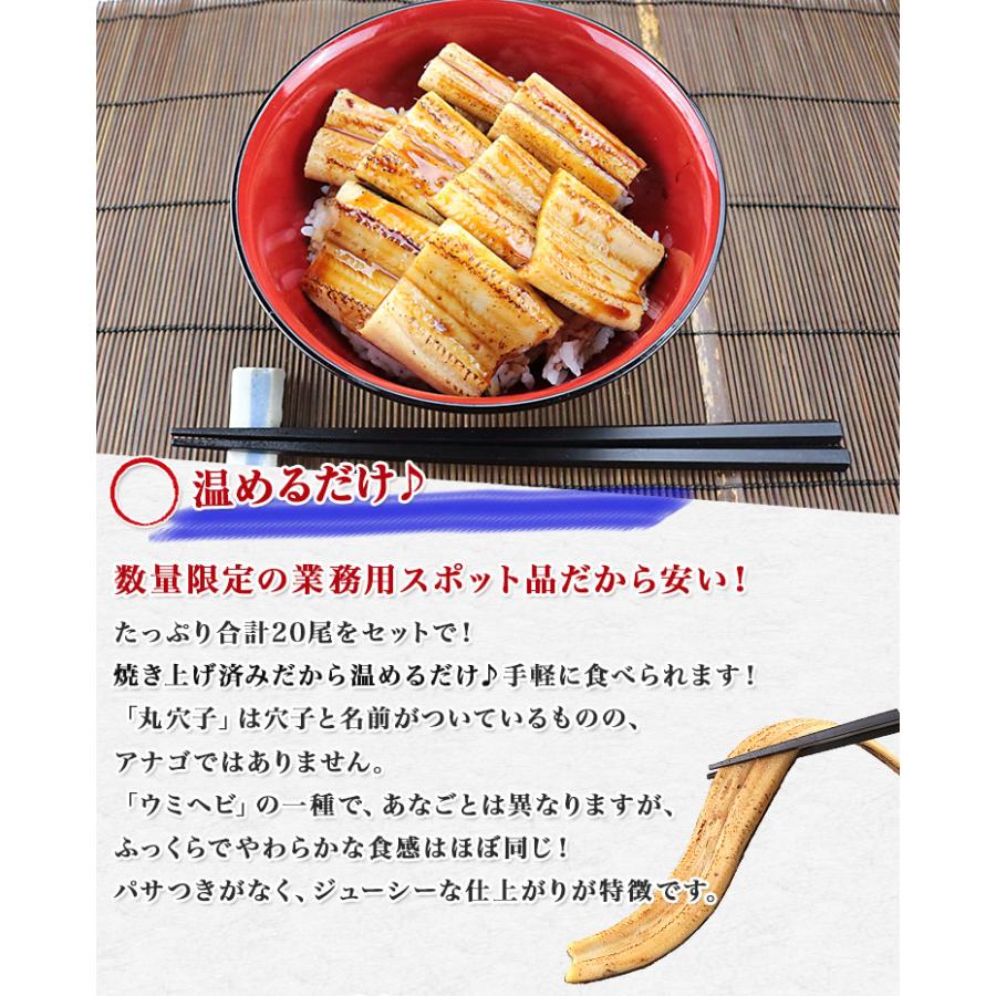 【賞味期限6/20】丸穴子 焼まるあなご 白焼き 蒲焼き 魚介類 海産物 惣菜 鍋 ウミヘビ 食品 海鮮 ギフト クーポン 父の日｜morigen｜02