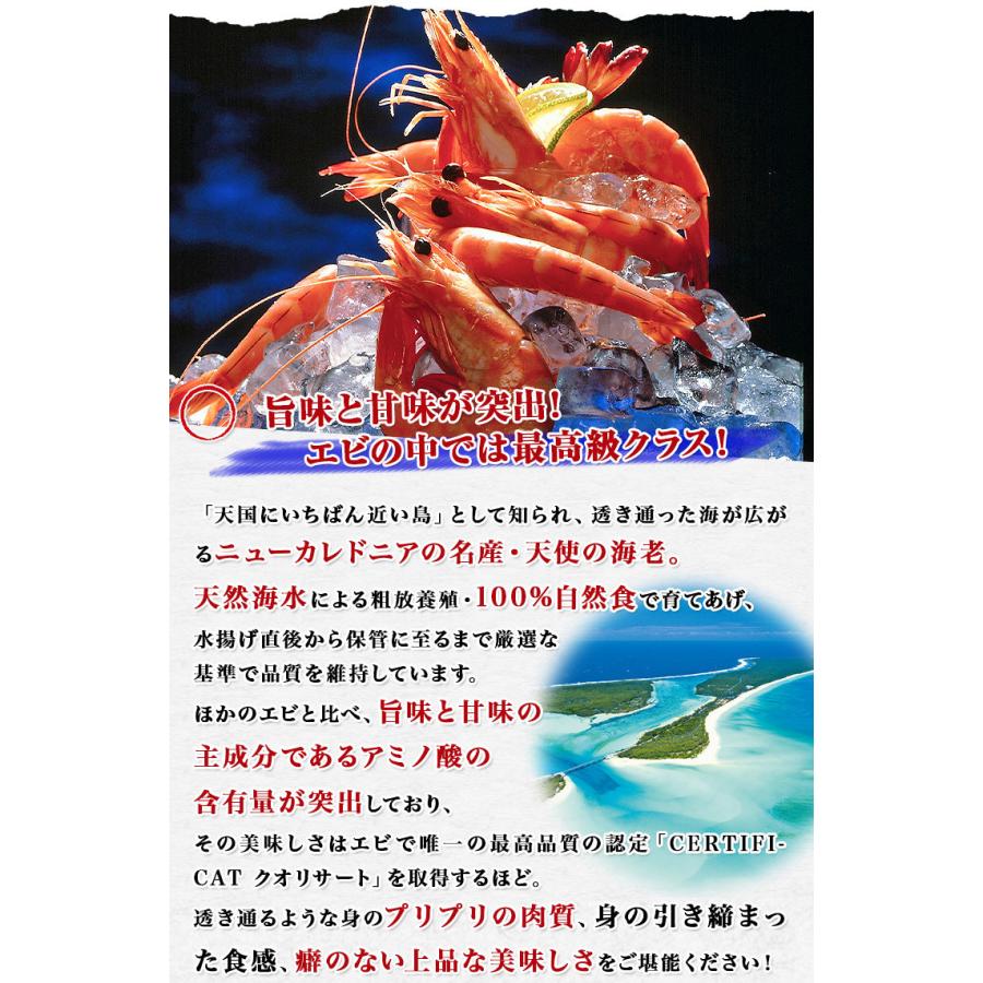 特別価格 天使の海老 1kg 40 50尾入 送料無料 海老 えび エビ 生食用 お取り寄せグルメ 刺身 ギフト 冷凍便 年末まだ間に合う 食品