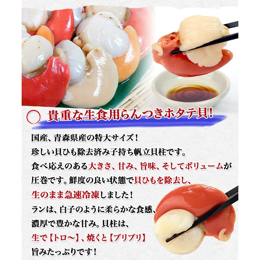 数量限定 ラン付きホタテ貝柱 特大 1kg 送料無料 青森県産 お刺身で食べられる 帆立 ほたて 冷凍便 鮮度抜群 グルメ 新生活応援 食品 ギフト 母の日 食の達人森源商店 通販 Paypayモール