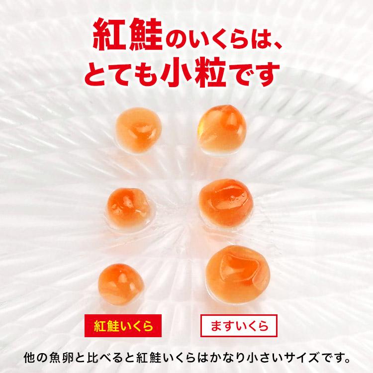 いくら イクラ 紅鮭 醤油漬け 250g さけ グルメ 食品 海鮮 ギフト クーポン 父の日 母の日遅れてごめんね｜morigen｜03