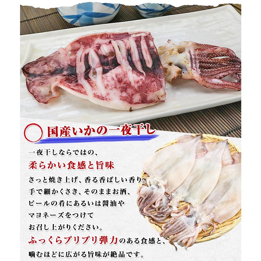 いか イカ ふっくらやわらか いか 一夜干し 9枚(3枚×3) イカ 烏賊 姿 干物 珍味 食品 海鮮 ギフト ポイント利用 爆買 | 食の達人 | 01