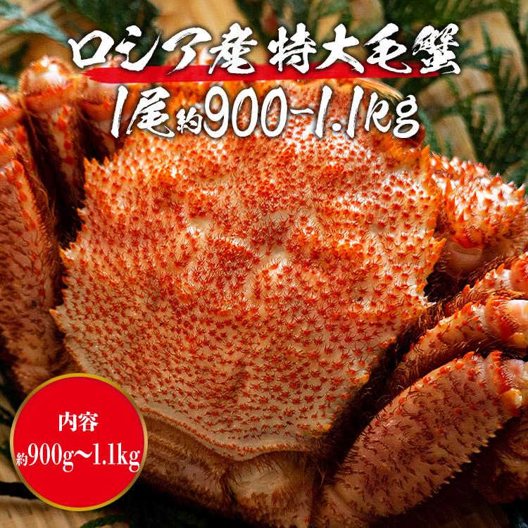 ロシア産 毛ガニ 特大1尾 約900g〜1.1kg 送料無料 毛蟹 毛がに ケガニ 蟹 カニ かに グルメ 食品 ギフト 食の達人森源商店 - 通販 - PayPayモール ロシア産 毛ガニ 特大1尾 約900g〜1.1kg 送料無料 毛蟹 毛がに ケガニ 蟹 カニ かに グルメ 食品 ギフト 食の達人森源商店 - 通販 - PayPayモール
