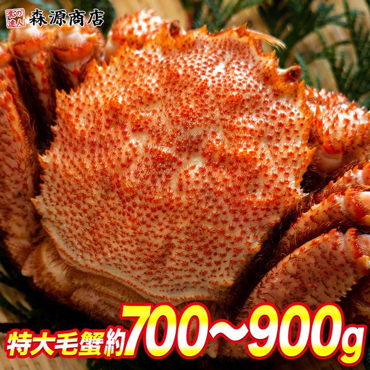 ロシア産 毛ガニ1尾 約700g 800g 送料無料 毛蟹 毛がに ケガニ 蟹 カニ かに お取り寄せ 食品 ギフト 食の達人森源商店 通販 Paypayモール