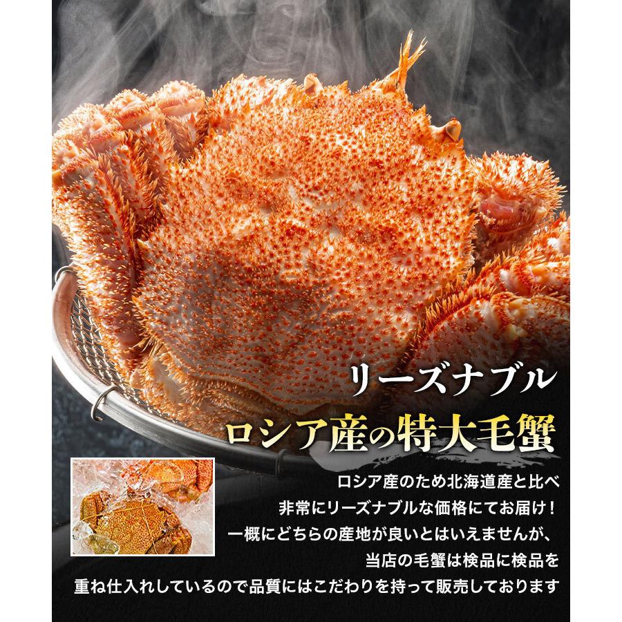 ロシア産 毛ガニ 大1尾 約500g〜700g ロシア産 毛蟹 けがに ケガニ 蟹 カニ かに グルメ 食品 海鮮 ギフト クーポン 父の日｜morigen｜04