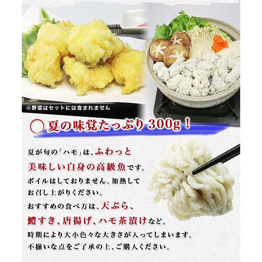 柔らかな質感の 国産 はも骨切り 300g 加熱用 ハモ 鱧 はも 送料無料 冷凍便 しゃぶしゃぶ 天ぷら 鍋 グルメ 食品 ギフト お中元1 980円 Aynaelda Com