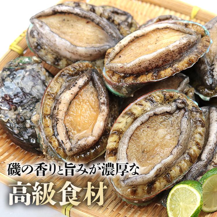 食の達人 あわび 1kg 12粒入 アワビ 鮑 えぞあわび 貝 冷凍 蝦夷 お