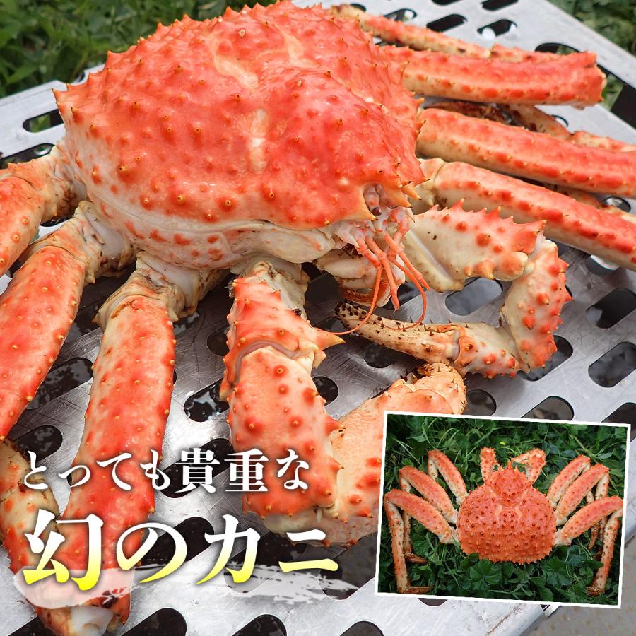 かに カニ 蟹 まるで タラバガニ 総重量2kg ゴールデンキングクラブ 近年人気上昇 ボイル  爆買 | 食の達人 | 02