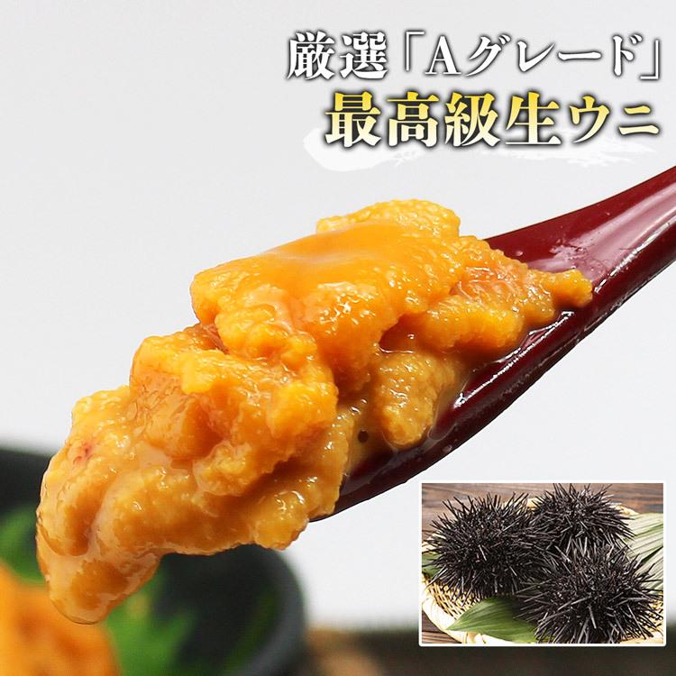 食の達人 うに 無添加生うに 100g×3パック 究極Aグレード 生ウニ