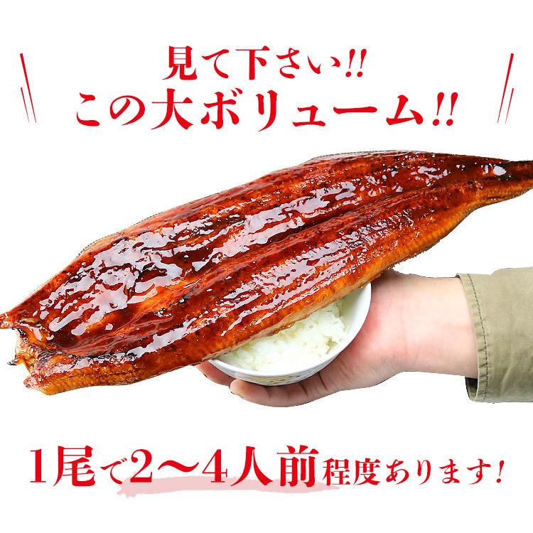 食の達人 うなぎ 訳あり 巨大うなぎ蒲焼 1尾 1本 約400g前後
