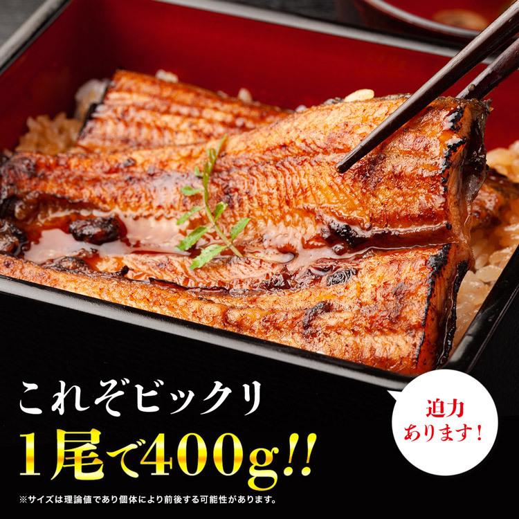 食の達人 うなぎ 驚く大きさ 約400gx2尾 巨大うなぎ蒲焼き 計800g 山椒