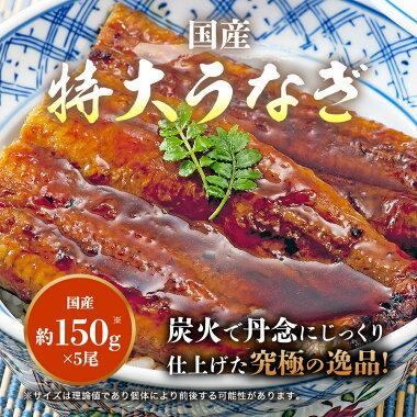 うなぎ 福袋 5尾 国産うなぎ 150g×5本 鰻蒲焼き 山椒 タレ付き ウナギ 食品 海鮮 ギフト クーポン うな飯 父の日｜morigen｜02