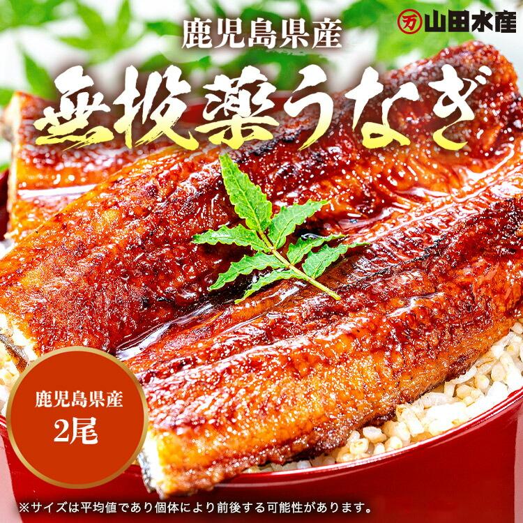 食の達人 うなぎ 蒲焼き 国産 無投薬 150g×2尾 土用の丑の日 鹿児島県