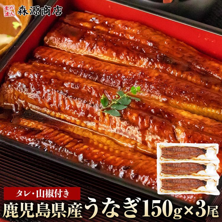 うなぎ 蒲焼き 国産 無投薬 150g×3尾 鹿児島県産 山田水産 食品 海鮮 爆買（Yahoo!・食の達人森源商店）