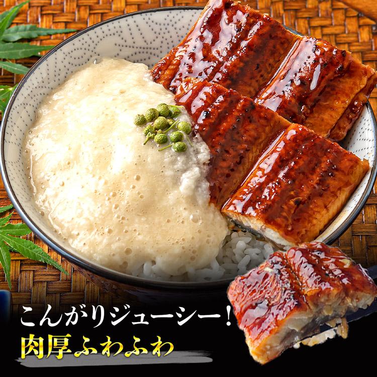 うなぎ 蒲焼き 400g 5食 カット ウナギ ひつまぶし 鰻 うな飯 食品 海鮮 ギフト ポイント利用 爆買 | 食の達人 | 01