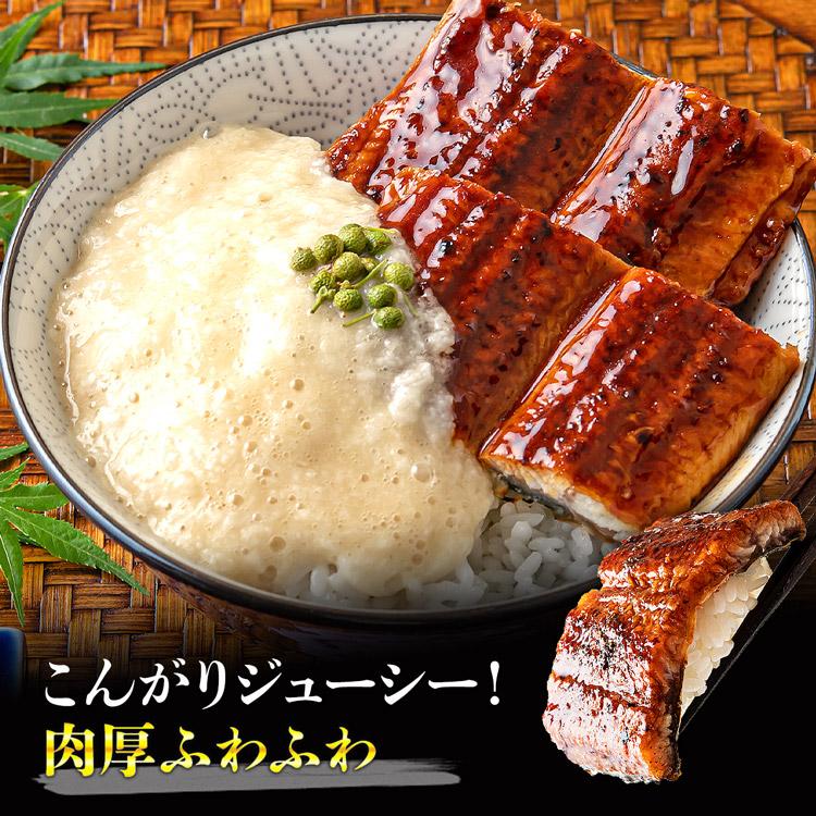 食の達人 うなぎ 蒲焼き 20食 個別包装 うな丼 1.6kg 鰻 ウナギ