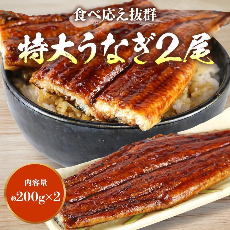 食の達人 うなぎ 2尾 セット 約200g×2 特大サイズ 鰻 ウナギ 蒲焼き か