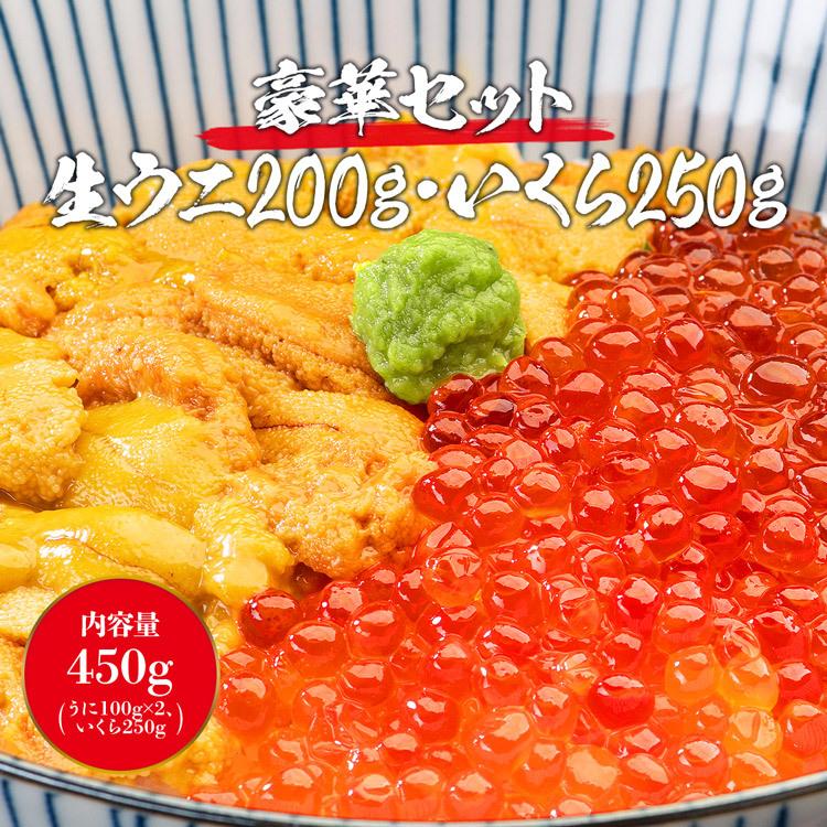 ウニとイクラのセット 無添加生うに 200g 訳あり 小粒いくら 250g 究極Aグレード生ウニ 海鮮丼 優良配送 食品 海鮮 ギフト クーポン 新生活応援 母の日 送料無料｜morigen｜02