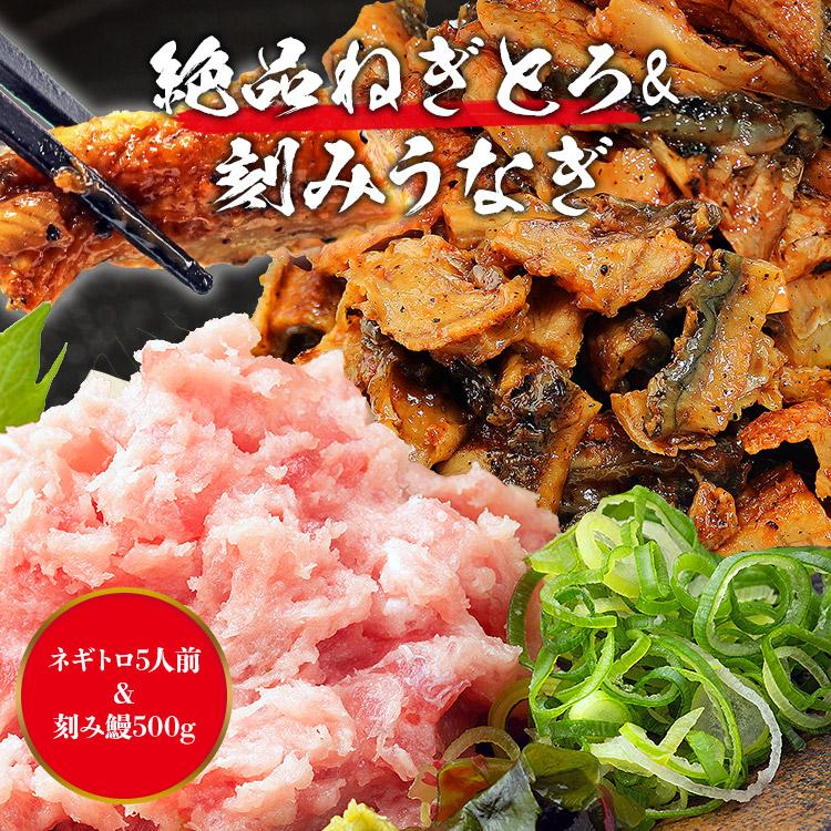 うな丼 ネギトロ丼合計10食分 うなぎ500g(約5人前)とねぎとろ400g(5食x80g)  鰻 食品 海鮮 ギフト ポイント利用 爆買 | 食の達人 | 01