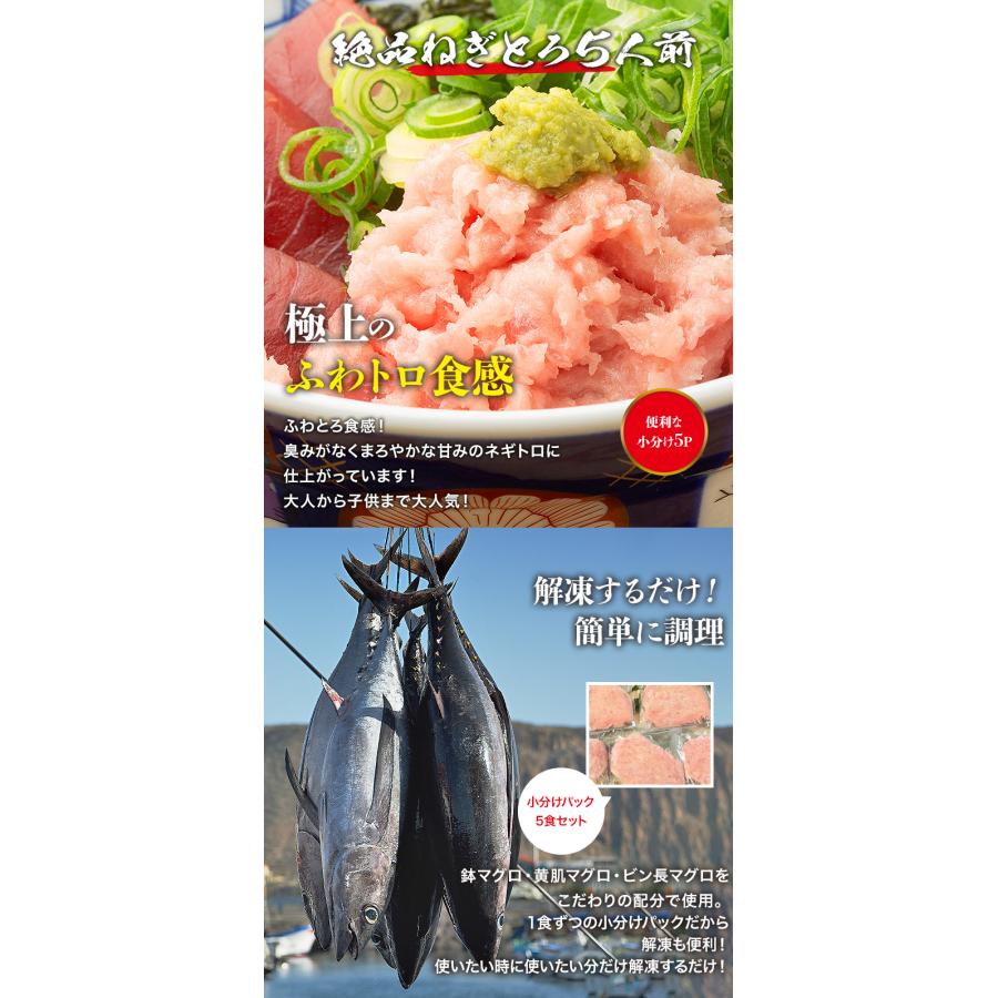 うな丼 ネギトロ丼合計10食分 うなぎ500g(約5人前)とねぎとろ400g(5食x80g)  鰻 食品 海鮮 ギフト ポイント利用 爆買 | 食の達人 | 03