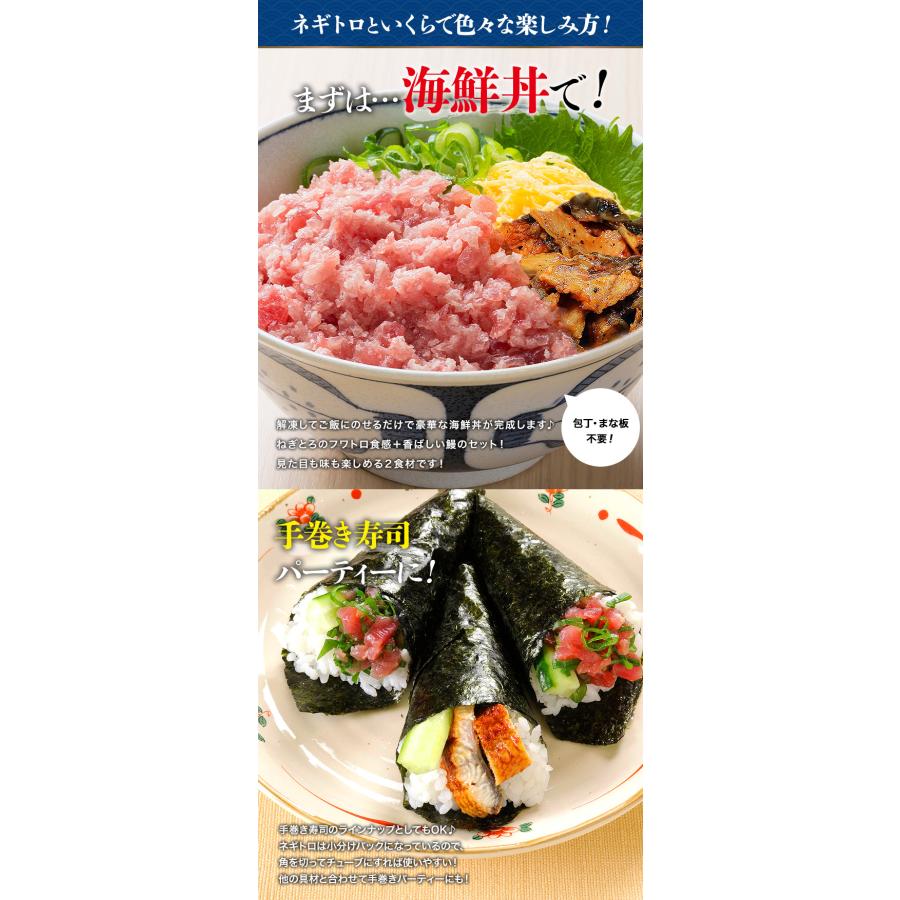 うな丼 ネギトロ丼合計10食分 うなぎ500g(約5人前)とねぎとろ400g(5食x80g)  鰻 食品 海鮮 ギフト ポイント利用 爆買 | 食の達人 | 05