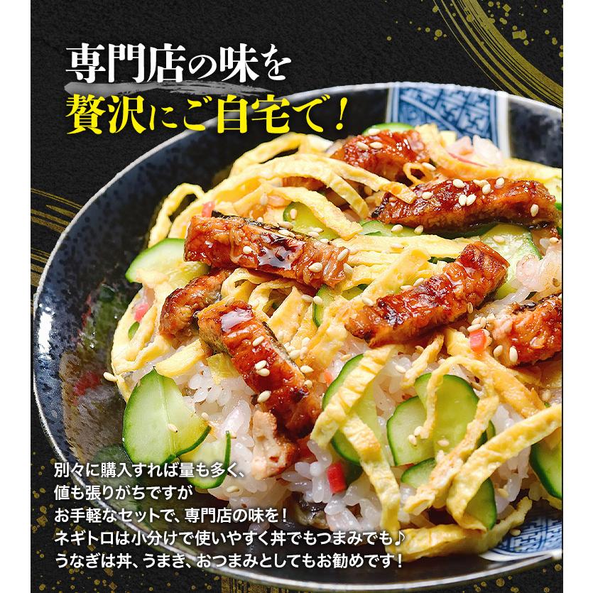 うな丼 ネギトロ丼合計10食分 うなぎ500g(約5人前)とねぎとろ400g(5食x80g)  鰻 食品 海鮮 ギフト ポイント利用 爆買 | 食の達人 | 06