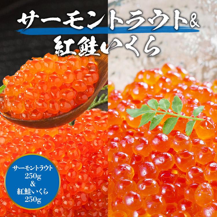 食の達人 いくら 醤油漬け 2種 500g セット トラウトサーモン250g 紅鮭