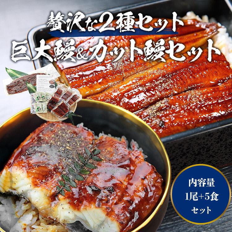 うなぎ 蒲焼き 鰻 人気 2種セット 計800g (巨大うなぎ400g カットうなぎ80g×5パック） 爆買 | 食の達人 | 01