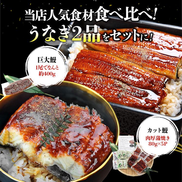 うなぎ 蒲焼き 鰻 人気 2種セット 計800g (巨大うなぎ400g カットうなぎ80g×5パック） 爆買 | 食の達人 | 02