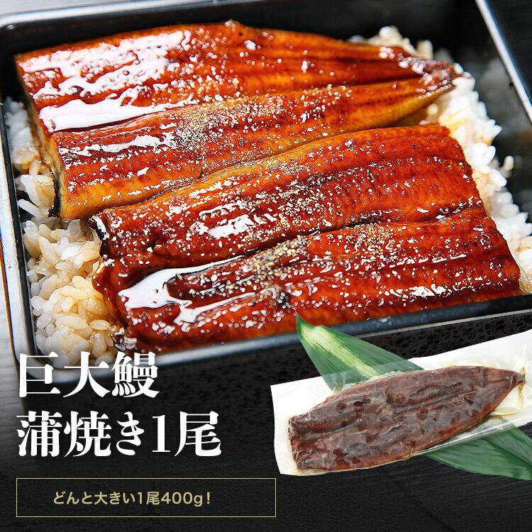 うなぎ 蒲焼き 鰻 人気 2種セット 計800g (巨大うなぎ400g カットうなぎ80g×5パック） 爆買 | 食の達人 | 06