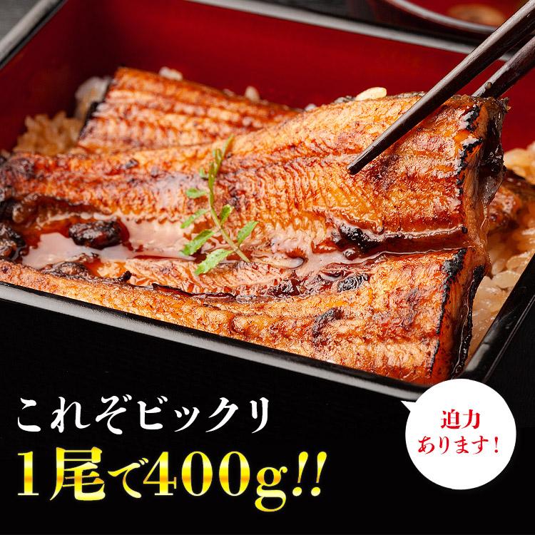 うなぎ 蒲焼き 鰻 人気 2種セット 計800g (巨大うなぎ400g カットうなぎ80g×5パック） 爆買 | 食の達人 | 07