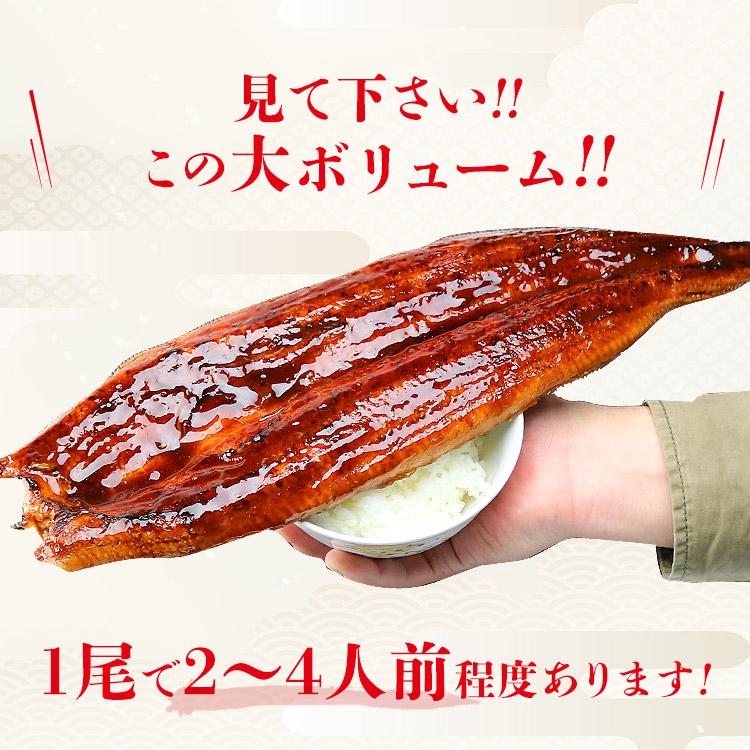 うなぎ 蒲焼き 鰻 人気 2種セット 計800g (巨大うなぎ400g カットうなぎ80g×5パック） 爆買 | 食の達人 | 08
