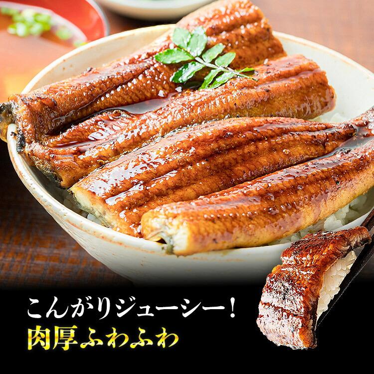 うなぎ 蒲焼き 鰻 人気 2種セット 計800g (巨大うなぎ400g カットうなぎ80g×5パック） 爆買 | 食の達人 | 09