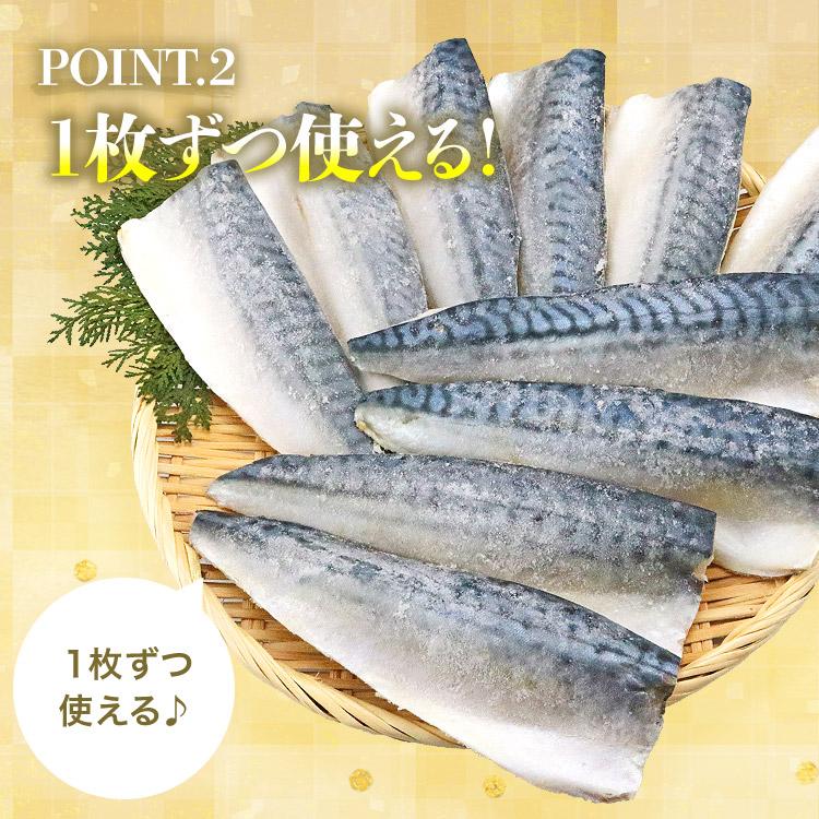 サケ サバ セット 1kg×2 合計2kg 鮭 鯖 シャケ さば 爆買 | 食の達人 | 09