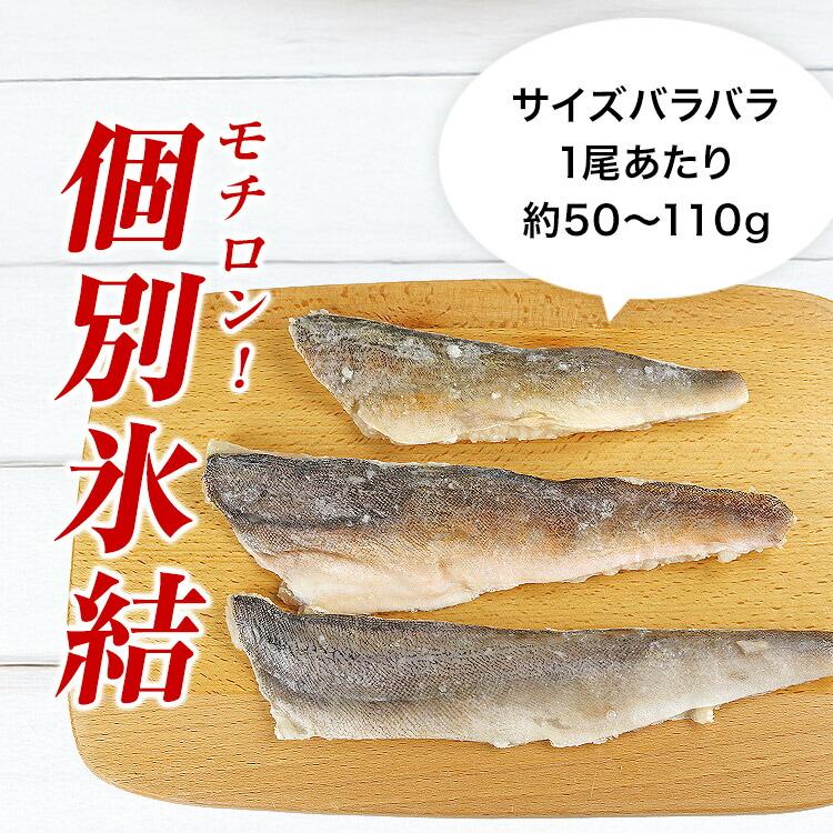 ホッケ と サケ 有塩セット 1kg×2 合計2kg ほっけ 切り身 鮭 さけ  骨取り 有塩 鮭 切り身 冷凍 | 食の達人 | 08