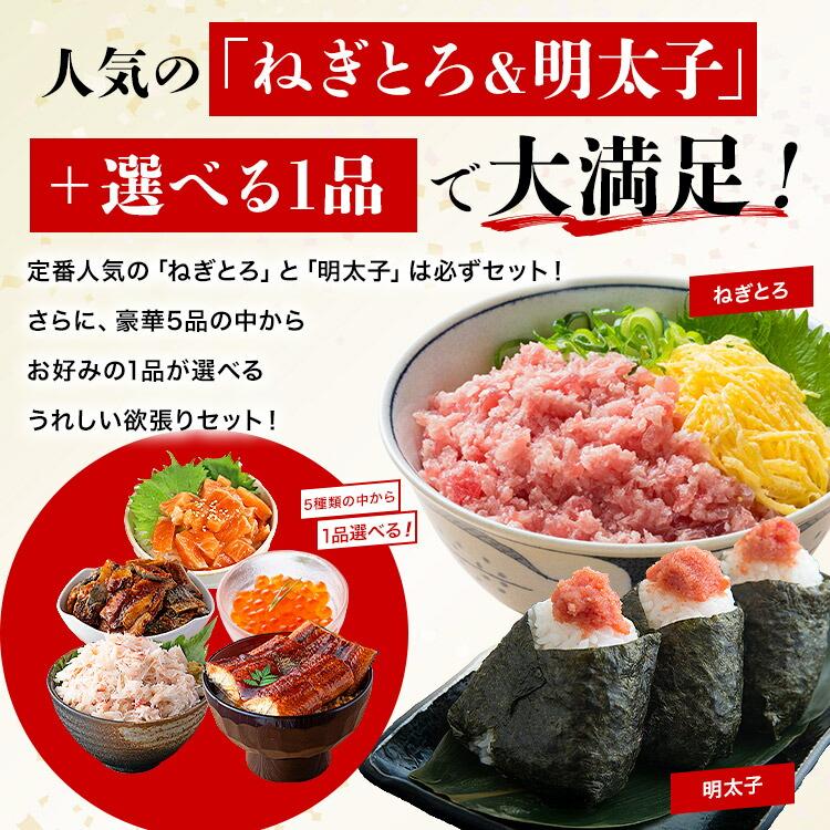 【ヤフショセット販売】ねぎとろ 明太子 海鮮丼 セット＋選べる1品 丼 うなぎ 鰻 カニ 蟹 いくら | 食の達人 | 02