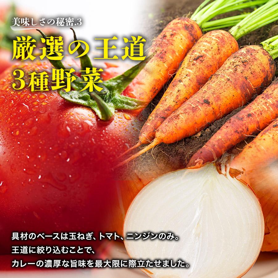 海老フライカレー セット 10食分 180g×10袋 10尾 10人前 海老 エビ 冷凍 中辛 業務用 レトルト 日本食研 | 食の達人 | 06