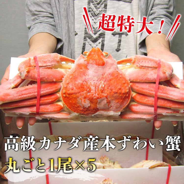 かに カニ 蟹 ズワイガニ 姿ずわい蟹 4.5kg 超特大 5尾かに送料無料 グルメ 食品 優良配送 食品 海鮮 ギフト クーポン 新生活応援 母の日 送料無料｜morigen｜03